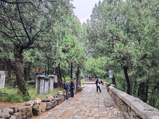 泰安：雨中的泰山红门登山口，280元登山助力机器人，你试过吗？