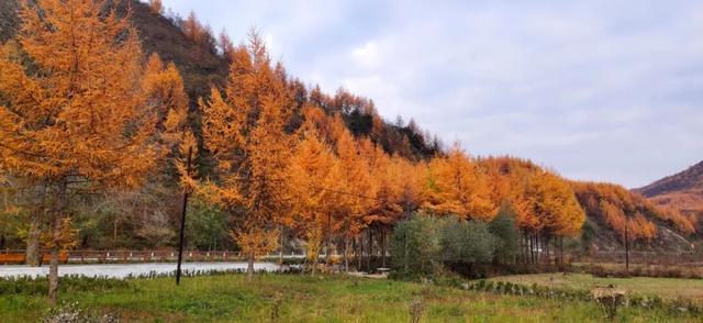 兰仓秋，染山河。