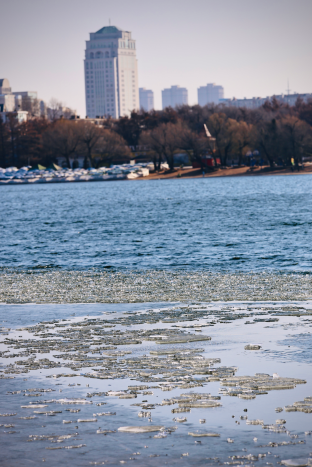 长春惊现“龙鳞”！绝非人工