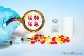它，上止孩童尿床，中止中年人尿频，下止老年人遗尿，止尿如神！图片