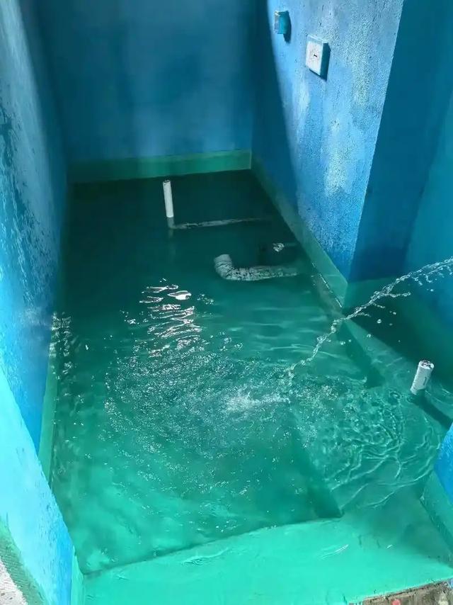 装修师傅才不会告诉你的8个卫生间防水要点，耽误事不赚钱