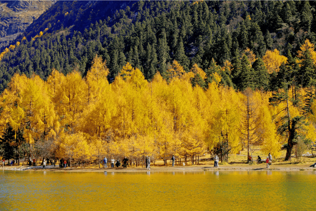 免门票丨毕棚沟献给全国师生们的秋日礼物！