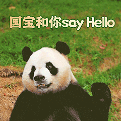 收藏！“约会哈尔滨 冰雪暖世界”冬季专属表情包上线了！