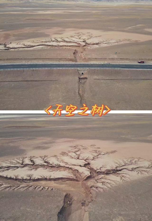 自驾219国道前，请做好这10大准备！附《219国道·全段高清地图》