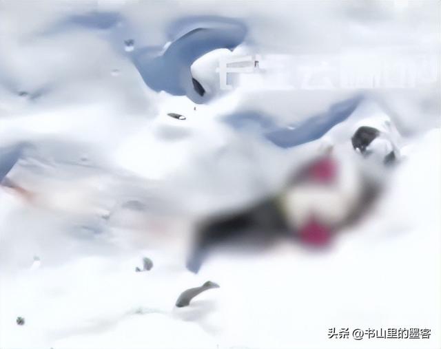 驴友坠崖身亡后续：偷登未开放区，摔倒后绝望呼救，知情人曝真相