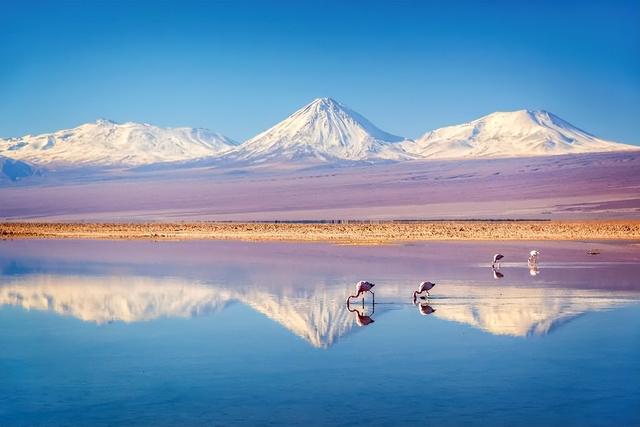 Booking.com缤客首次发布2025中国旅客出境游趋势报告