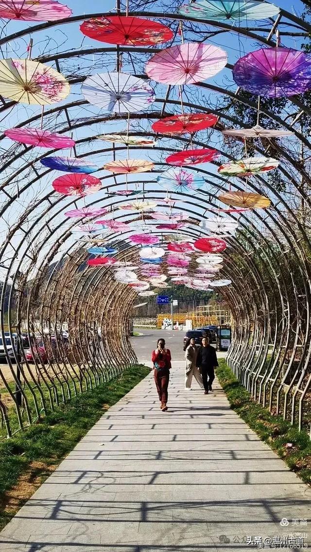 踏秋宝地,来宁波第一长寿古村,长寿之秘,藏于雁苍山水间!