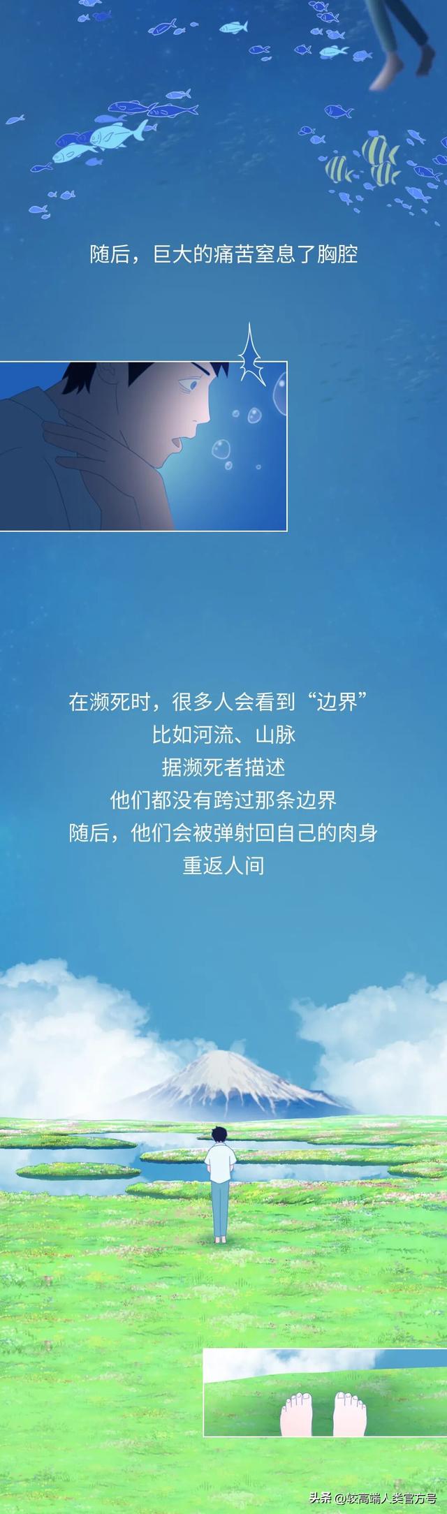 死亡前的30秒，人会看见什么？