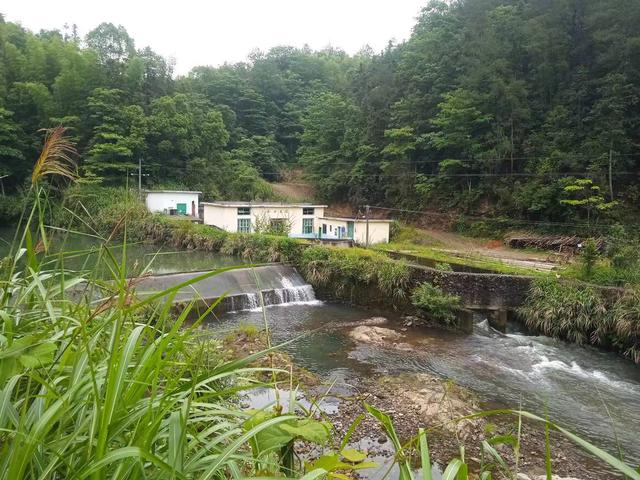 端阳喜伴小溪河，独有诗心迷远足——徒步小溪河散记（三）