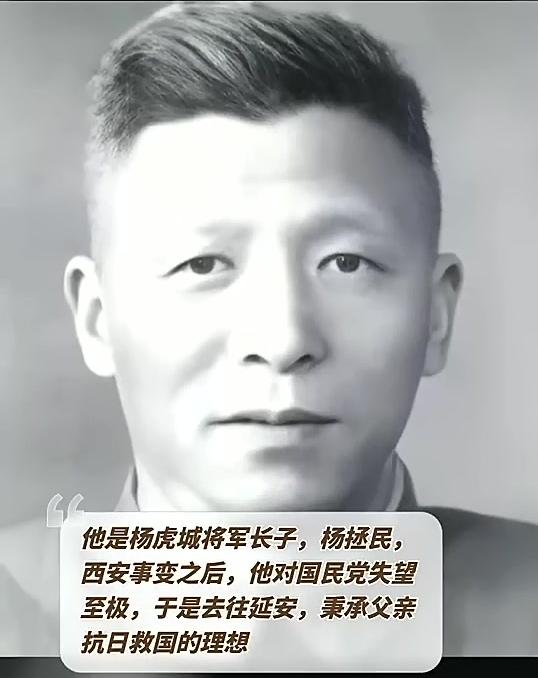 杨虎城的后人今何在：长子省委书记	，俩女儿厅级，孙子移民加拿大