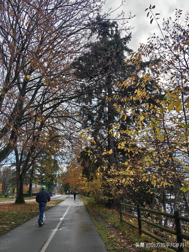 温哥华游记（六）