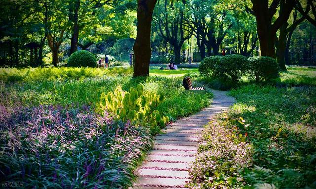 上海神秘小岛逆袭！从无人问津到3天10万人打卡，你愿住这里吗？