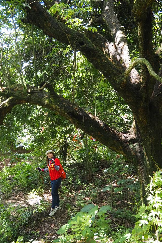 福建龙岩徒友为广东梅州助力，200多人同登旗山，进防空洞探秘
