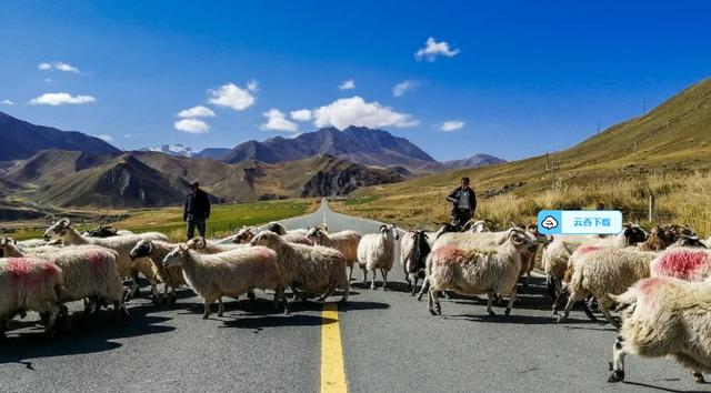 车在路上行，人在景中走——祁连山9号公路旅行记 第三站：野牛沟