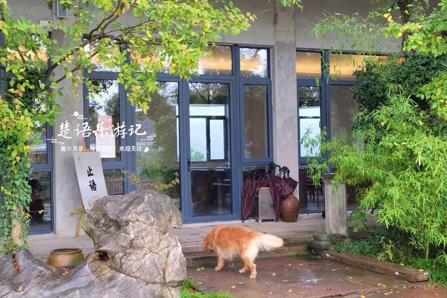 浙江宁波这座寺院得名“饭佛”，居于海岛但景色不错，适合周末游