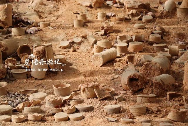 绍兴上虞的红杉观赏胜地，杉树未红时的景色也很美，非常值得游玩