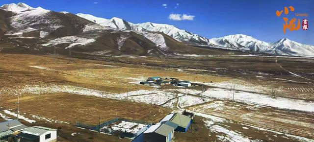 【小陇画报·424期】张掖：深秋时节 雪降祁连成诗画