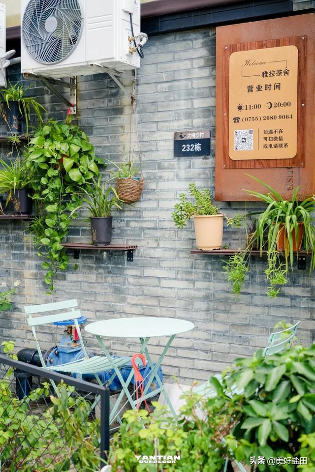 星期五，盐田上新啦 | 来离海最近的美术馆品茶吧