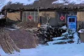 四舅妈的一生图片