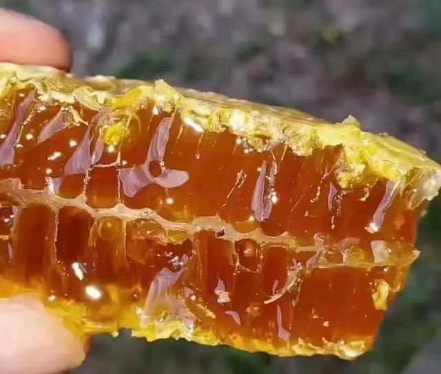 假期返程，后备箱又双叒叕满了