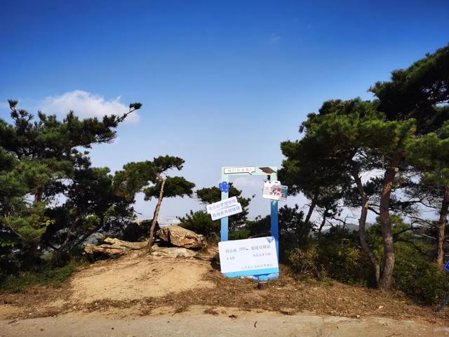 重阳节登高望远