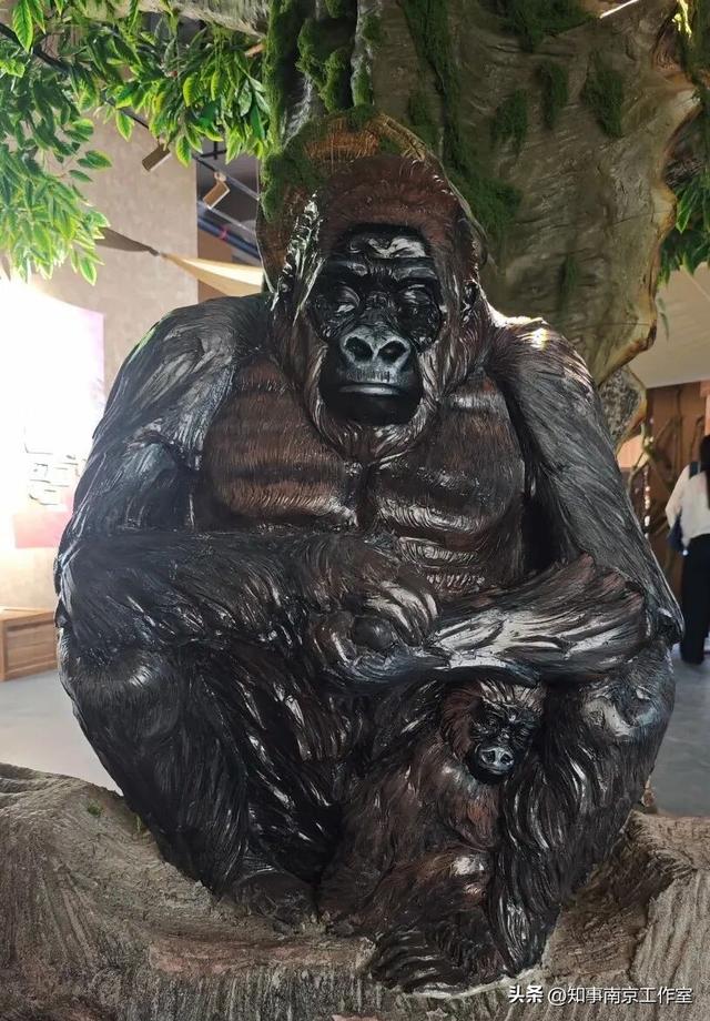 降温天逛红山动物园有多爽？