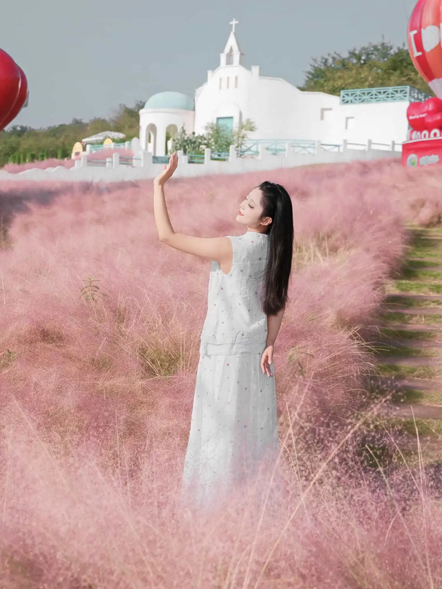 15万株绽放醉美菊花展，成都又美爆了！