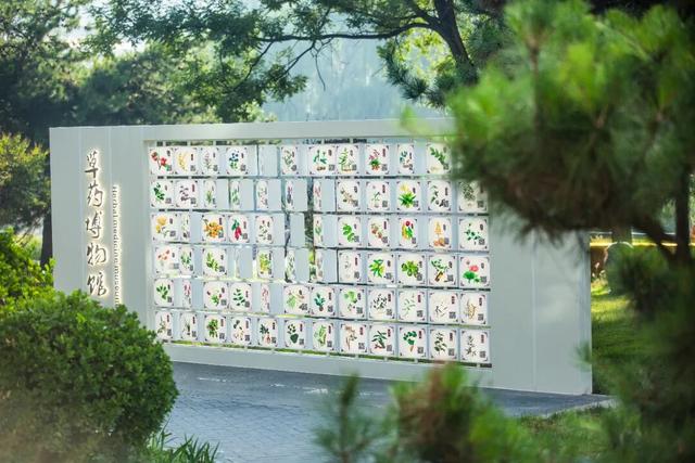 解锁一座宝藏公园！在长治邂逅有趣的中医药世界