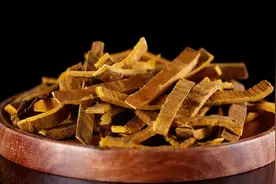 种好道地苦黄柏 树皮里面藏“黄金”图片