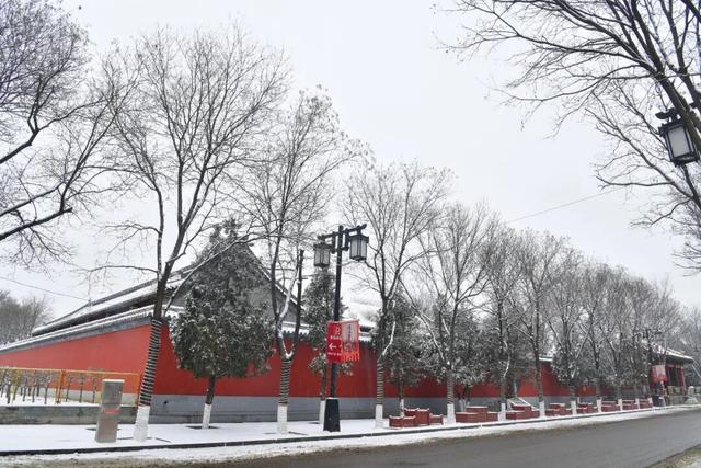 朔州：这场雪，认真