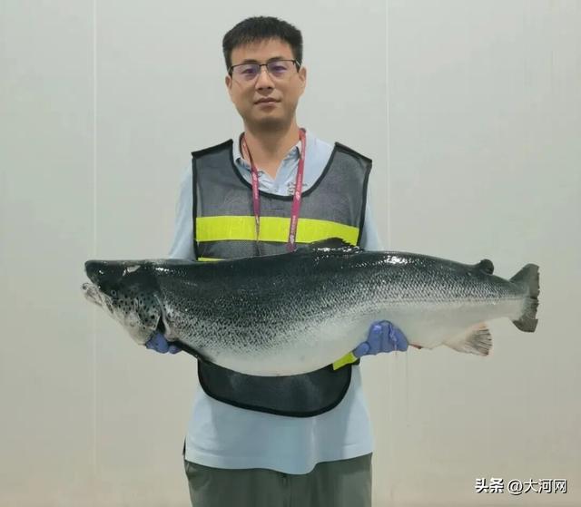 郑州航空港，真不只会“飞”！