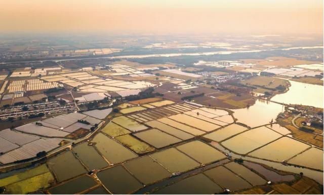 冈身与上海方志中的历史水系河道
