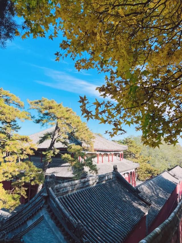 避开人从众！门头沟这里的秋，人少景美，一秒治愈！