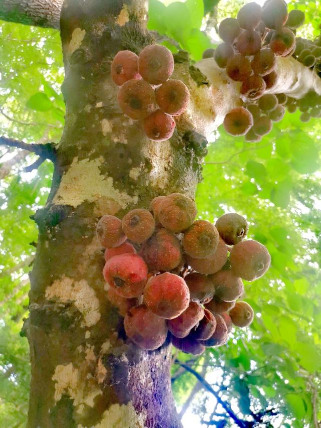 中国最受欢迎的10条避寒路线，对的时间就去对的地点，选一条出发