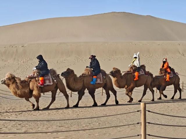 大寒暖韵满鸣沙 丝路驼铃唤客来