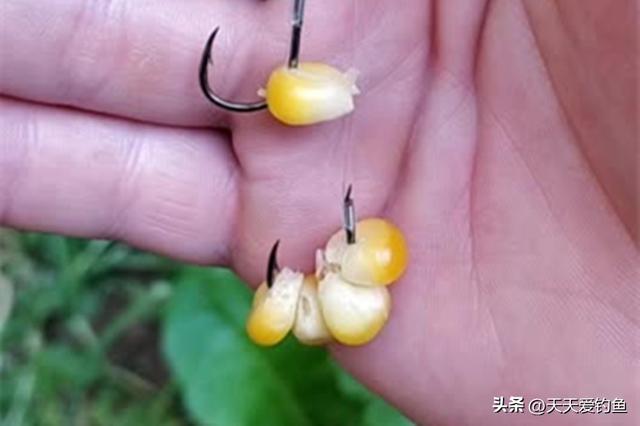 秋季钓大鱼，4个原因把鱼吓跑，最后这个万万没想到