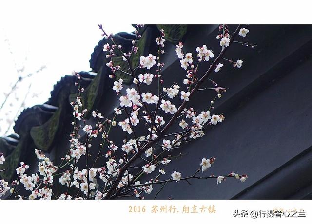 江南古镇行游影记（31）—甪直古镇（六）