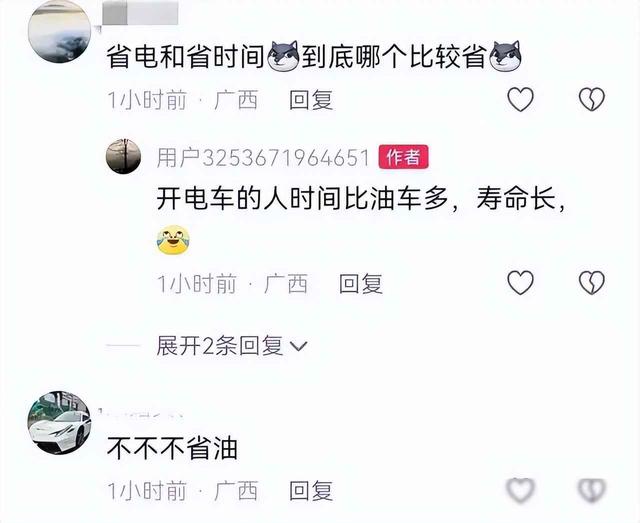 国庆新能源车变"跛脚"？高速充电桩排长队 四小时才充一度电？