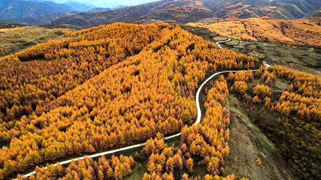 武山：五彩秋日胜春朝