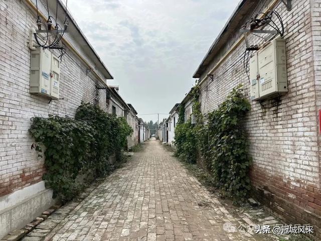 冠县乡韵·桑阿镇野场村