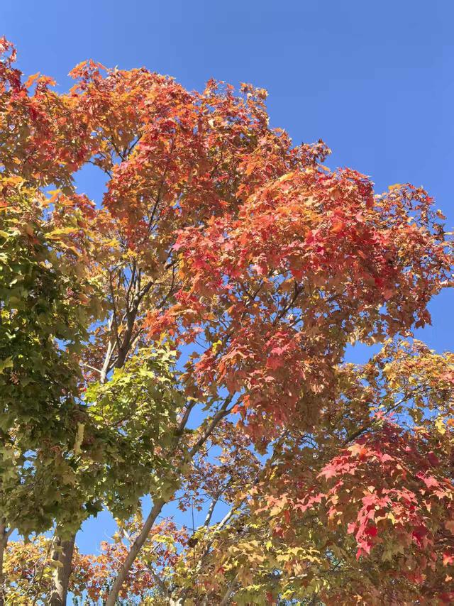 京畿福地 大美三河