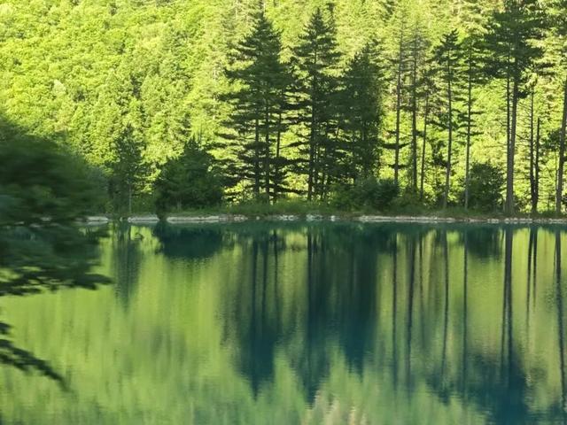 海子映山，绿意漫岸，九寨沟牌“净化器”已上线~