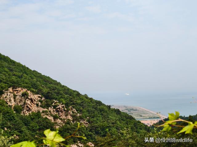大连海之韵公园·棒槌岛