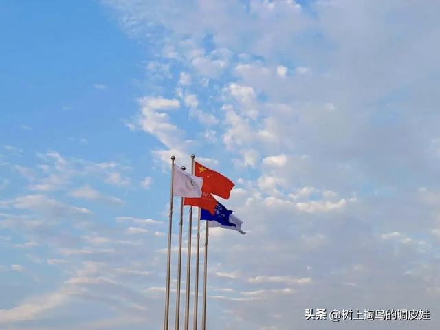 金秋打卡中国商丘华商节，共赴商业文明新征程