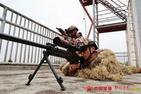 组图｜武警广州支队组织分队战术训练图片