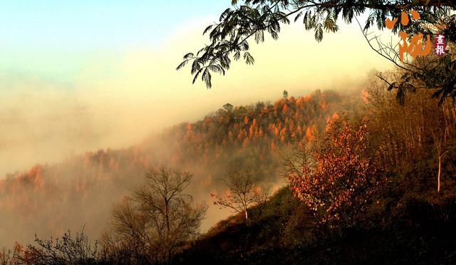 【小陇画报·437期】初冬，礼县美的像“油画世界”