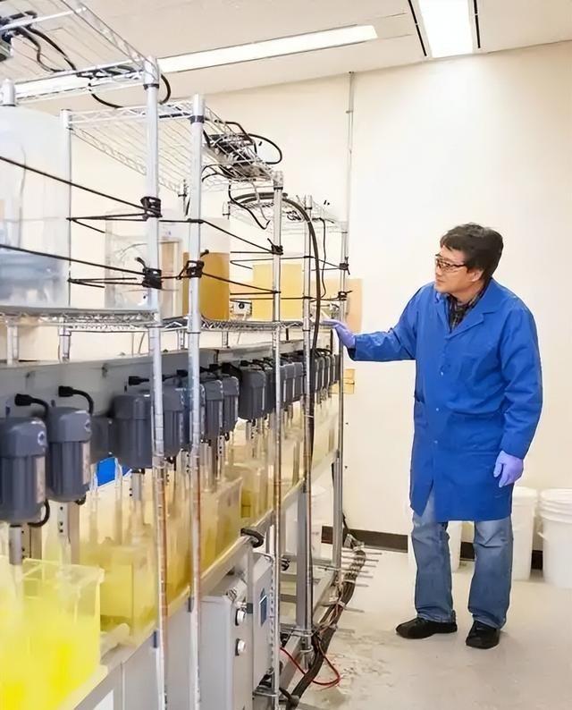 日专家称：中国或被迫修复对日关系，否则承受不起美国压力