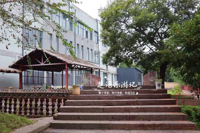 宁波这里的银杏已经变黄了，青砖黛瓦与之映衬，烟雨之中更有诗意