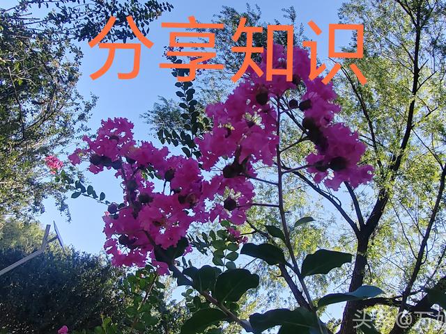两性关系：女人说的“下次吧”！实际是这个意思，男人切记要懂得