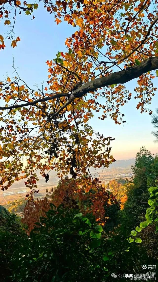 浙处丹霞地貌秋色斑斓超壮观，秋日必打卡之地！
